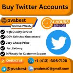 Buy Twitter Accounts usa